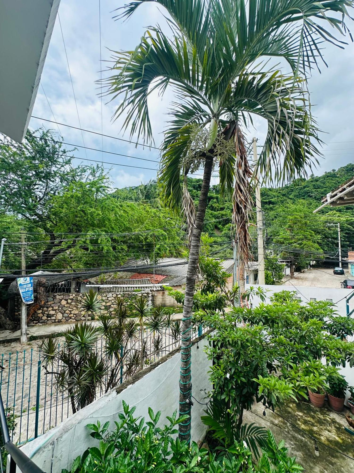 شقة Loft Rio بويرتو فالارتا المظهر الخارجي الصورة